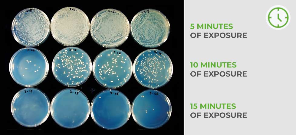 Reduction of bacterial load according to photocatalytic exposure time